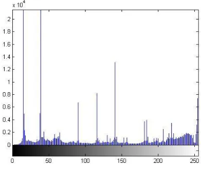 Fig 11: Histogram of  watershed segmented image using distance transform with LoG edge detector