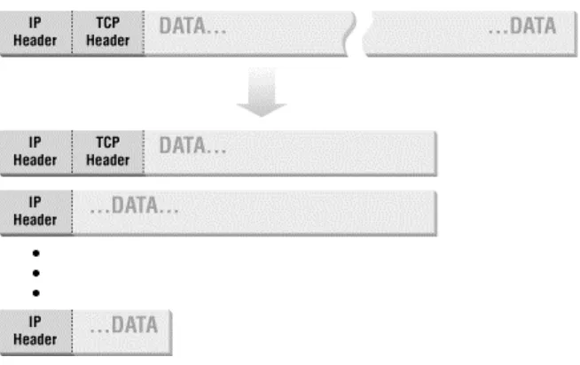 Figure 4.3. Data fragmentation 