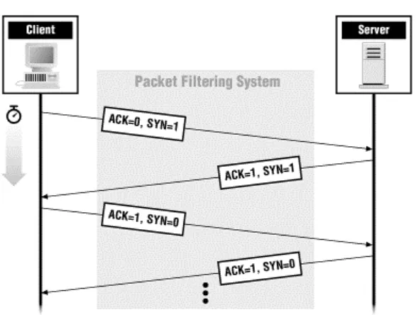 Figure 4.5. ACK bits on TCP packets 