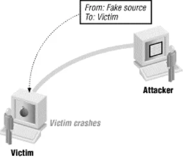 Figure 4.6. Attacker intercepting replies to forged packets 