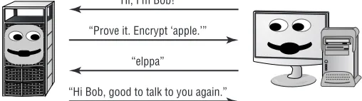 Figure 9.1 shows how this challenge-response protocol might work in action. In this exam-