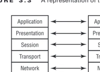 Figure 3.3). This information is what creates the logical channel that enables peer layers on dif-