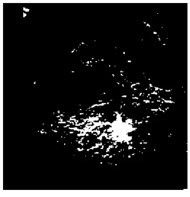 Figure 8 Image obtained after thresholding Figure 6 