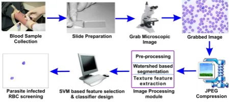 Fig 1: Overall workflow of the proposed malaria screening 