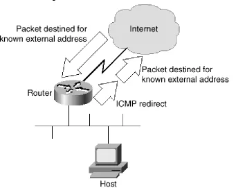 Figure 2-10. ICMP Redirect DoS Attack 