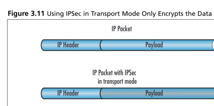 Figure 3.12 Using IPSec in Tunnel Mode Encrypts Both the Data and IP