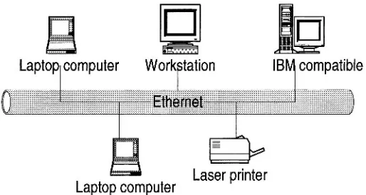 Figure 1.1 A Computer Network 