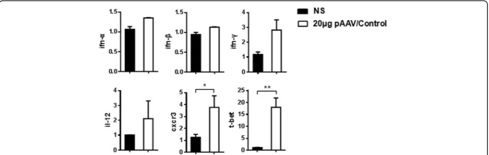 Fig. 7 Relative mRNA expression. Relative amount of mRNA in liver MNCs was detected by real time PCR at day 3 after hydrodynamic injectionwith NS or 20 μg pAAV/control plasmid