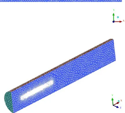 Figure 5.  Mesh created in the studied domain. 