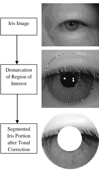 Fig 1: Steps of iris segmentation 