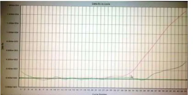 Figure 5: Amplification plot of one of the sample showing HCVAmplification. The red  curve is the internal standard