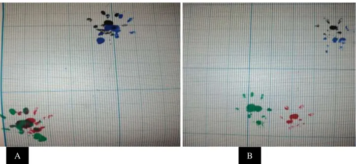 Fig. 1: Representative image of rat footprints after ink smearing over the rat's planta pedis