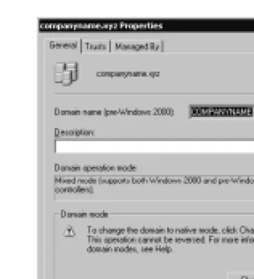 Figure 1.6 The Domain Properties Window in Mixed Mode