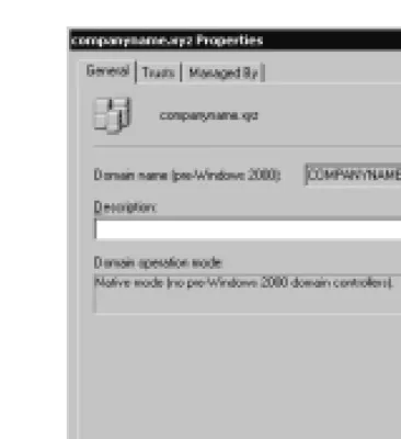 Figure 1.8 The Domain Properties Window in Native Mode