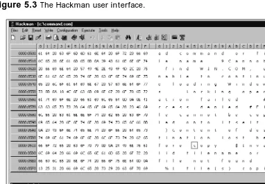 Figure 5.3 The Hackman user interface.