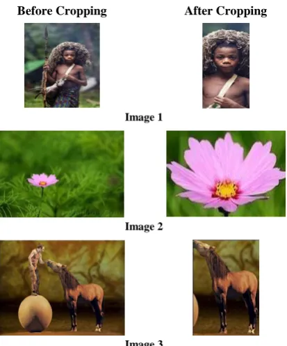 Fig 10: Before cropping and after cropping for 3 images 