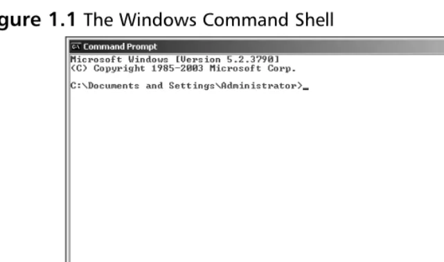 Figure 1.1 The Windows Command Shell