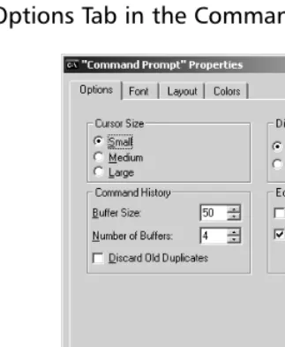 Figure 1.2 The Options Tab in the Command Shell Properties Window