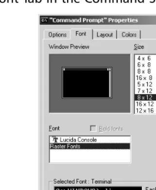 Figure 1.3 The Font Tab in the Command Shell Properties Window