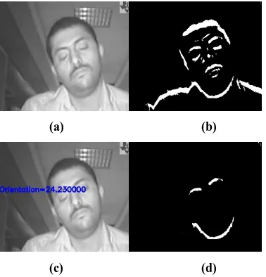 Fig.9 Driver Head Orientation Detection 