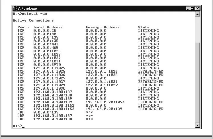 Figure 5-8.Using netstat to view current connections and listening ports