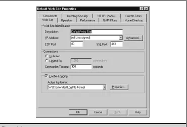 Figure 3-5.Additional IIS web server logging capabilities