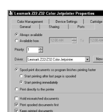 Figure 6-5: Retaining print spooler files in the printer’s Properties box