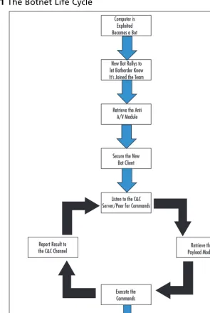 Figure 2.1 The Botnet Life Cycle