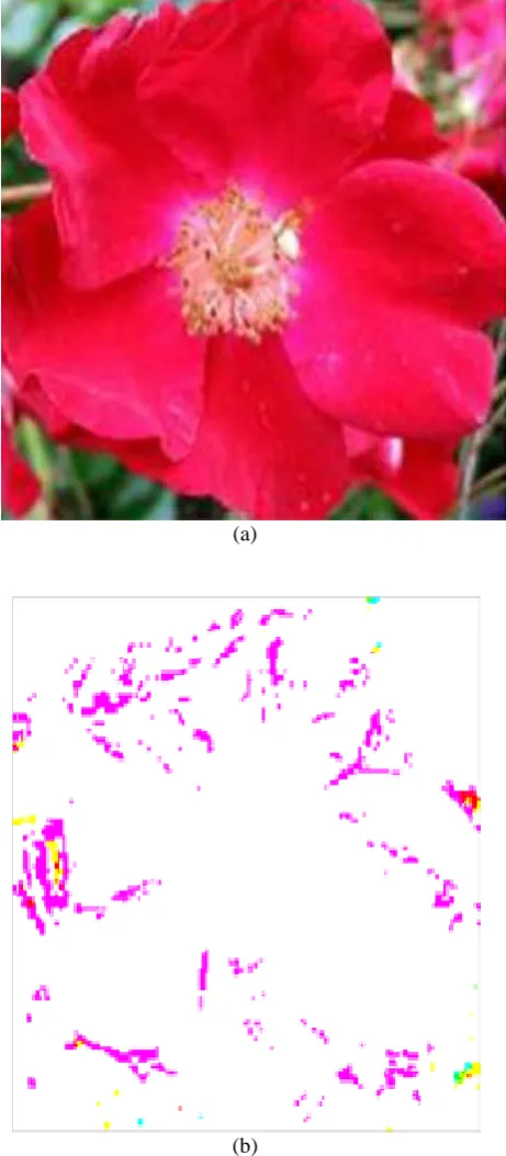 Figure 3. Selectively Encrypted Image, (a) is the original image, (b) is the encrypted image by grid conversion 