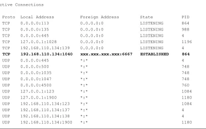 Figure 1.1 Netstat –ano command
