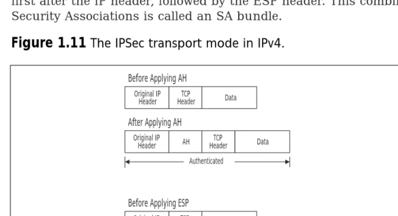 Figure 1.11 The IPSec transport mode in IPv4.