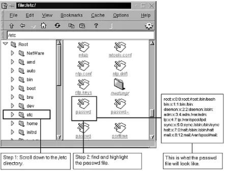 FIGURE 4.2