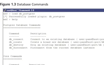 Figure 1.3 Database Commands  