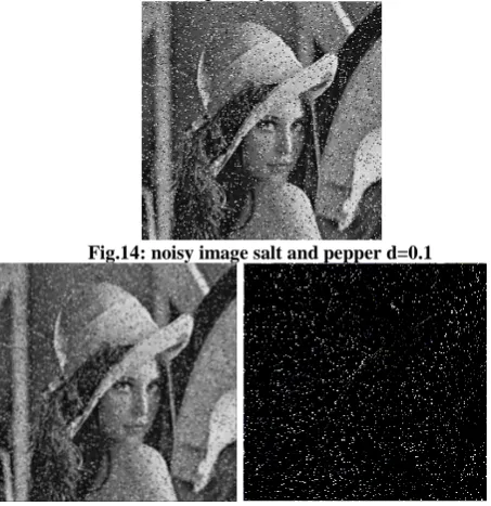 Fig.13a-b: noisy image filtered by the proposed adjustable  filter and the removed data (noise+few borders) 