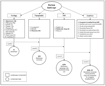 Fig. 5. Structure of 4-level hierarchical landscape typology.  