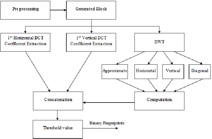 Fig 1. Schematic of TIRI-DCT and DWT algorithm 