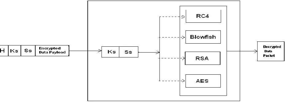 Figure 3.  Data encryption in SBSS at source end 