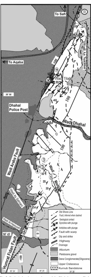 Fig. 2. Geological and structural map of the Dhahal structure. Circled  numbers indicate features described in the text