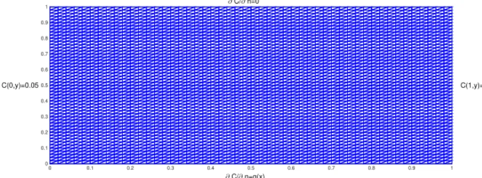 Figure 1: Mesh used in the computation of the numerical solution to (1), along with the boundary conditions for the problem.