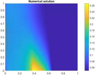 Figure 3: Numerical solution obtained for the problem (1).