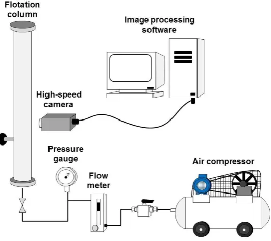Fig. 1. Experimental set-up of induced air flotation process.  