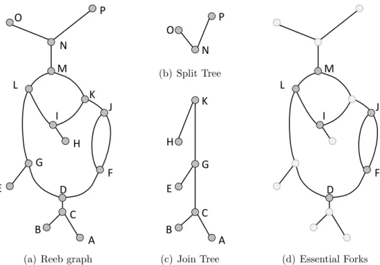 Figure 4.3. Example of multipass critical point paring. In the multipass approach, (a) the Reeb graph has (b) a split tree and (c) a join tree extracted for non-essential pairing