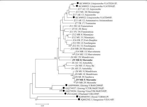 Fig. 1 Phylogenetic tree of hantavirus based on the partial sequences of the L segment coding region