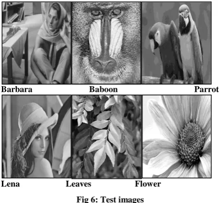 Fig 6: Test images 
