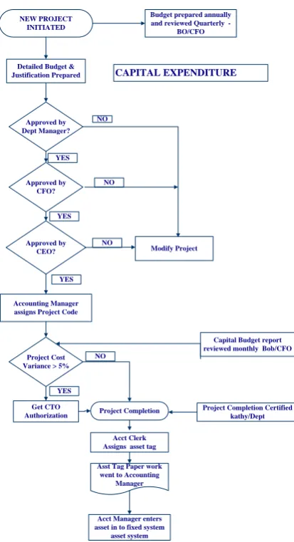 Figure 3: Capital Expenditure 