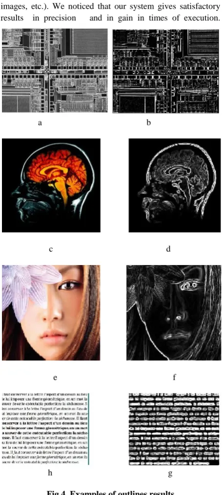 Fig 4. Examples of outlines results 