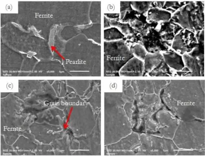 Fig. 7. SEM surface morphologies of (a) A283 carbon steel, (b) after the corrosion test of (a) in 5 vol.% propionic acid solution in liquid phase, (c) after the corrosion test of (a) in 5 vol.% propionic acid solution in vapor phase and (d) after the corro