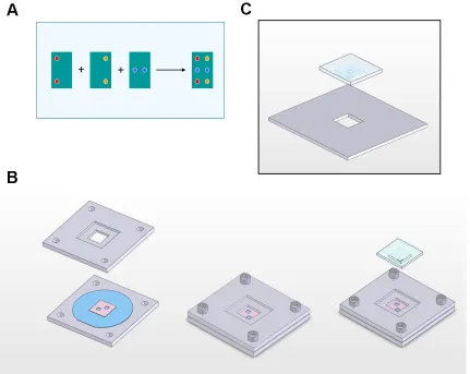 Figure 1.7.2 (A) Conceptual illustration of a microcontact printing scheme to create multi-element DNA microarrays, presuming the stamps can be aligned precisely