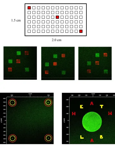 Figure 1.7.3   Typical results from MA-6 based stamp alignment.  The middle three patterns correspond to the highlighted boxes in the schematic above, and demonstrate the uniform alignment of two stamps (red & green) across long distances