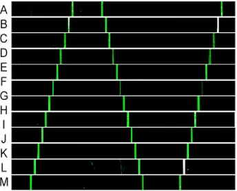 Figure 2.5.2 Cross-hybridization check for all 13 DNA oligomer pairs that were used  for encoding the registry of antibody barcode arrays